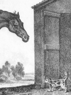 ‘Farrier and Naturalist’ Vol 1 Issue 7 – July 1828