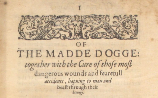 Spackman, Thomas - "Of The Madde Dogge..." (1613)