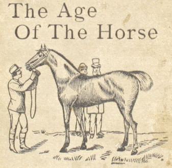 Schwab, Charles – “Practical Pocket Guide: To Ascertain from the Teeth, The Age Of the Horse” (c.1890)