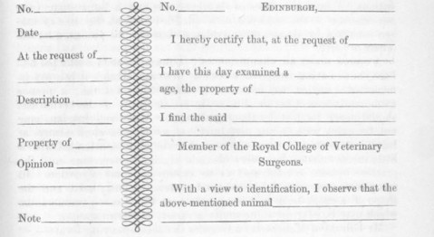 Soundness in horses form