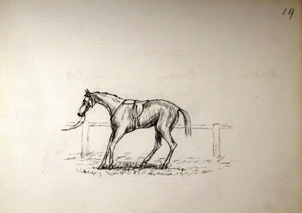 Appearance of a horse with fractured pastern