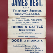 Poster advertising James Best, Veterinary Surgeon