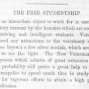 The Free Studentship