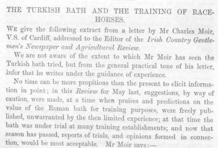Turkish bath in the training of racehorses