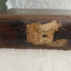 Detail of the spine of a ledger