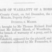Breach of warranty of a horse