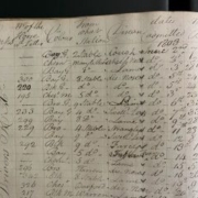 Page from a handwritten ledger listing each horse and its ailment
