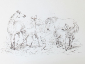 Drawing of a family of horses