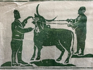 Detail from a poster advertising an Indian Salutri practitioner showing an ox undergoing treatment